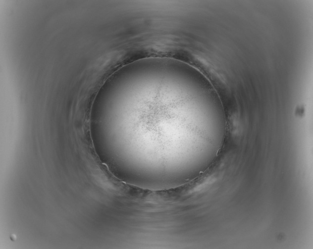 X0000091301009200708172204