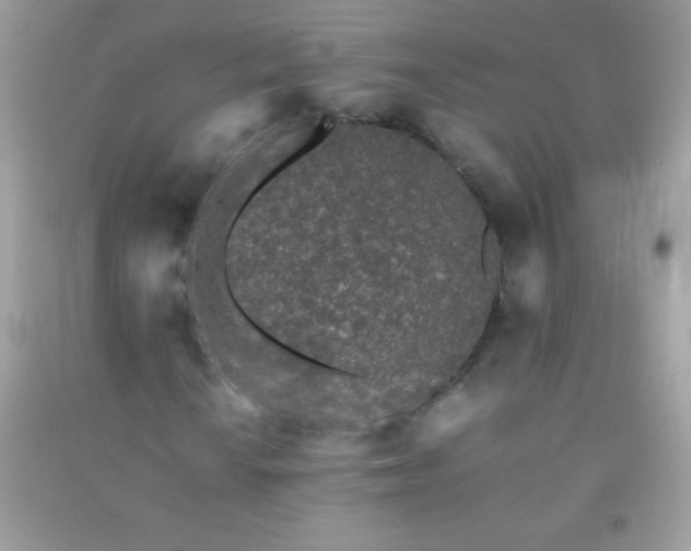 X0000091301010200708172204