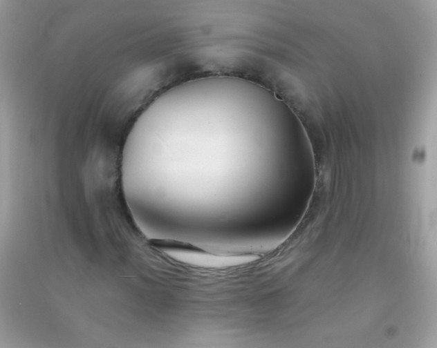 X0000091301012200708172204