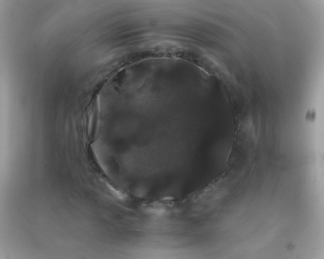 X0000091301013200708172204