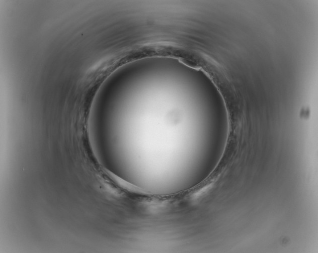 X0000091301014200708172204