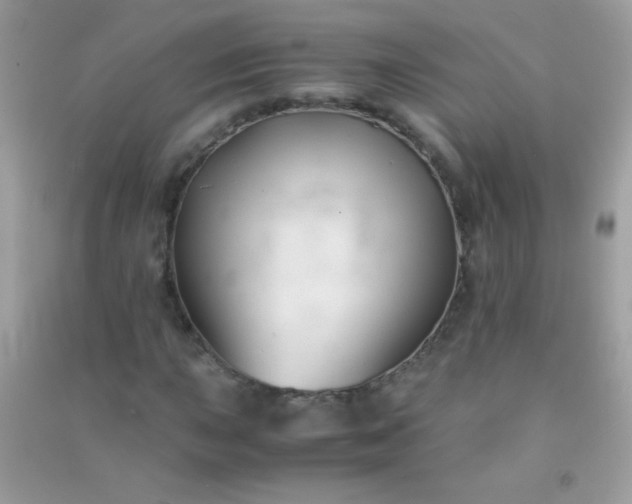 X0000091301015200708172204