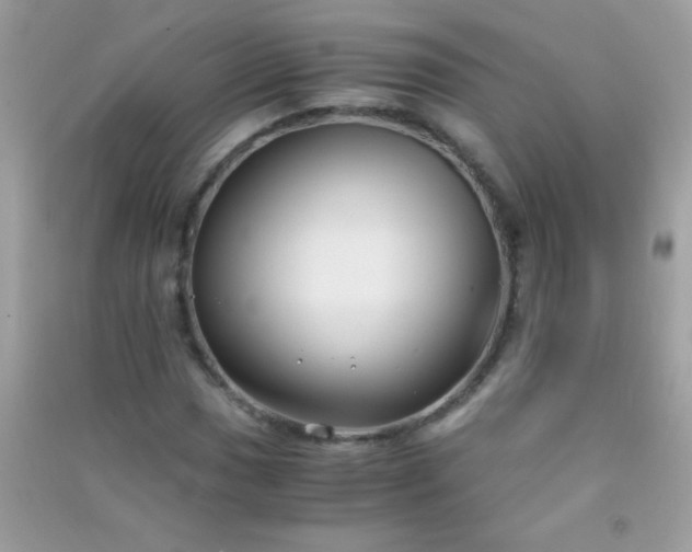 X0000091301017200708172204