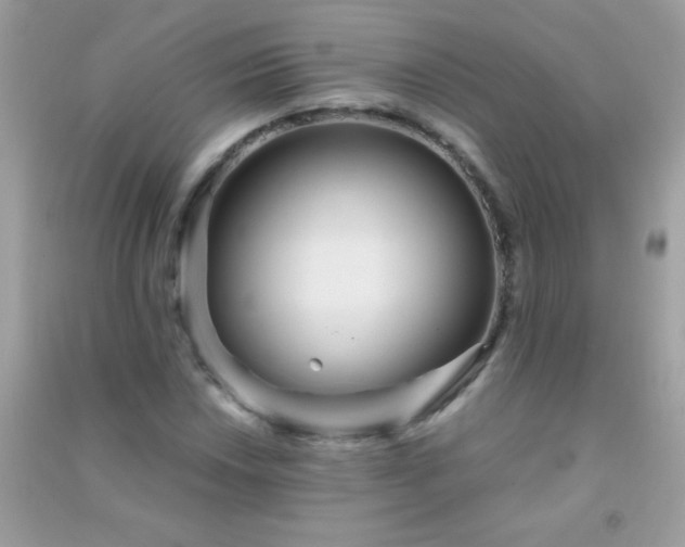 X0000091301018200708172204