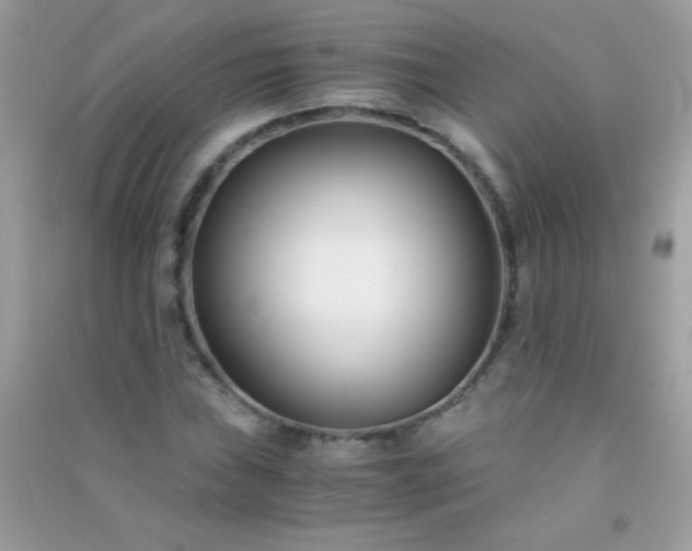 X0000091301019200708172204