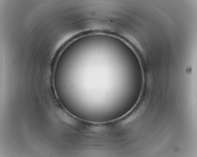 X0000091301021200708172204