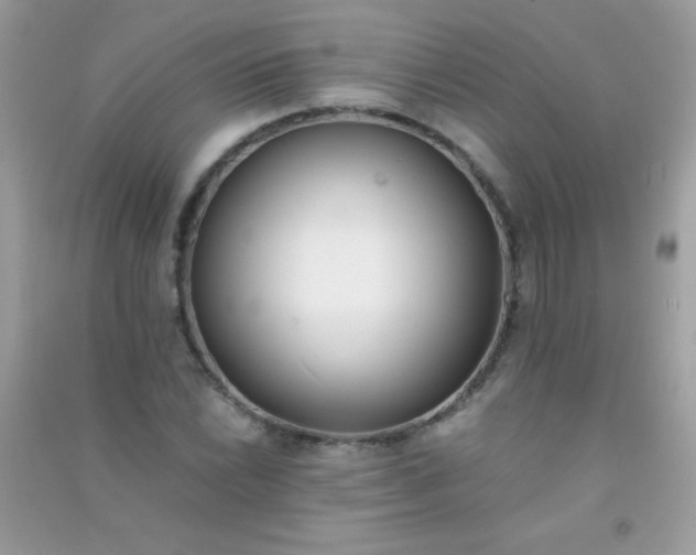 X0000091301022200708172204