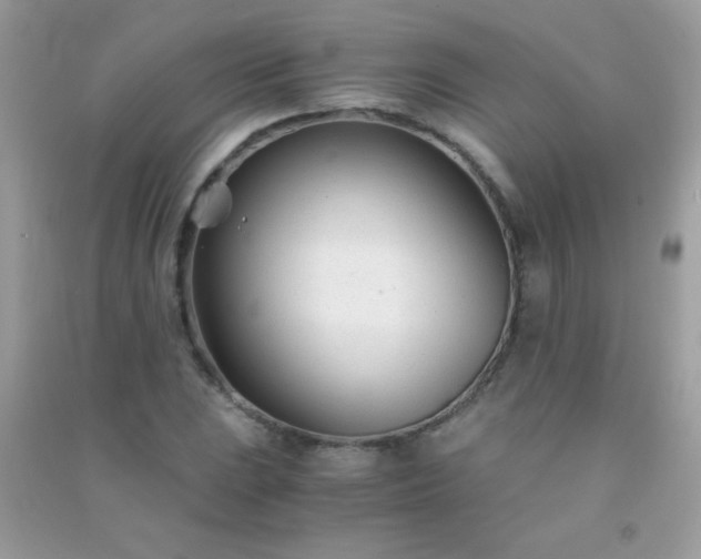 X0000091301023200708172204