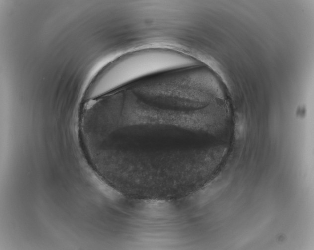 X0000091301024200708172204