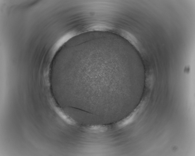 X0000091301026200708172204