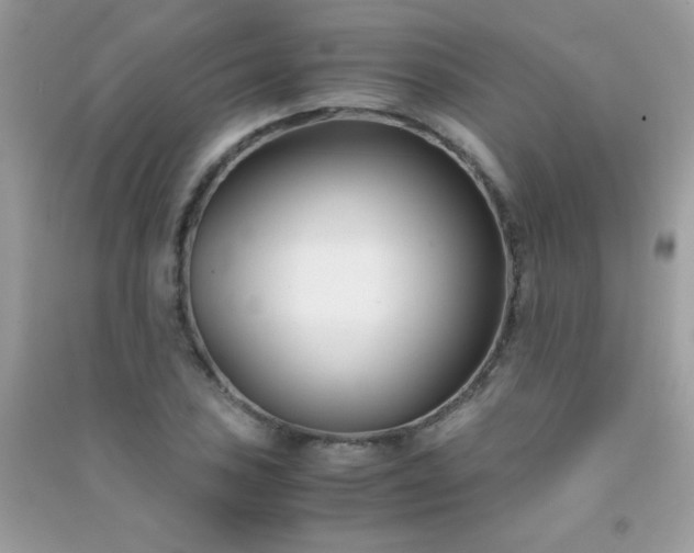 X0000091301027200708172204