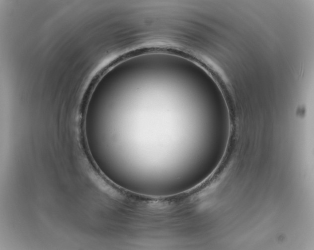 X0000091301029200708172204