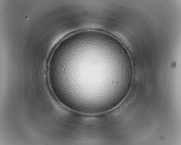 X0000091301031200708172204