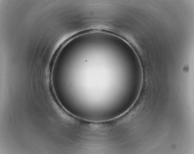 X0000091301032200708172204