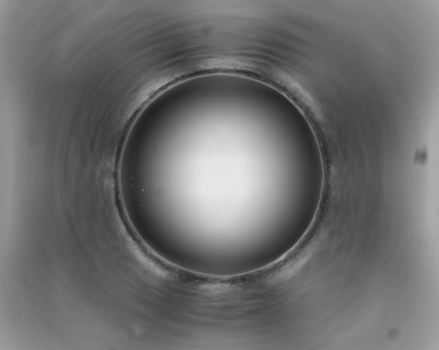 X0000091301033200708172204