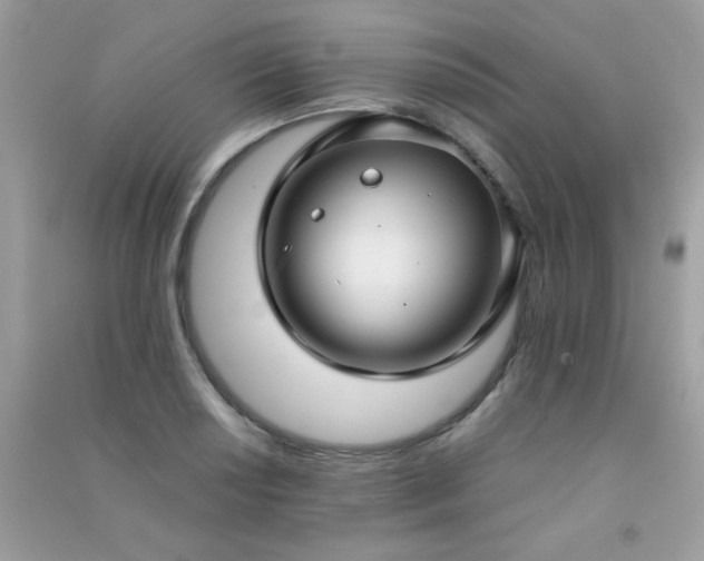 X0000091301034200708172204