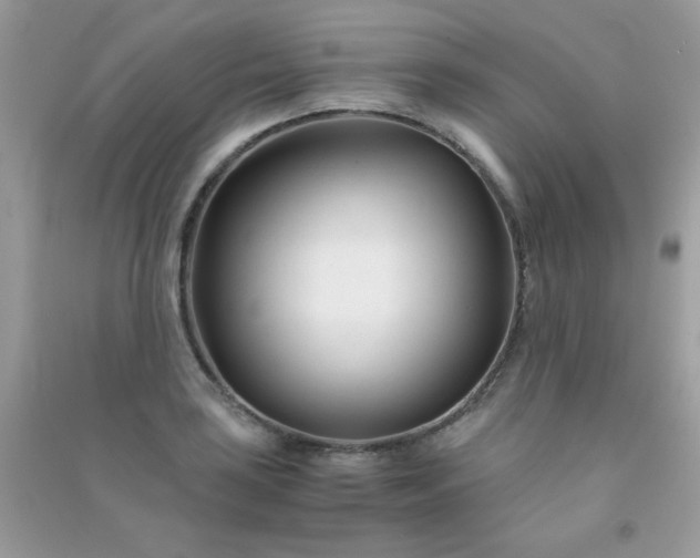 X0000091301035200708172204