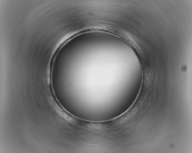 X0000091301036200708172204