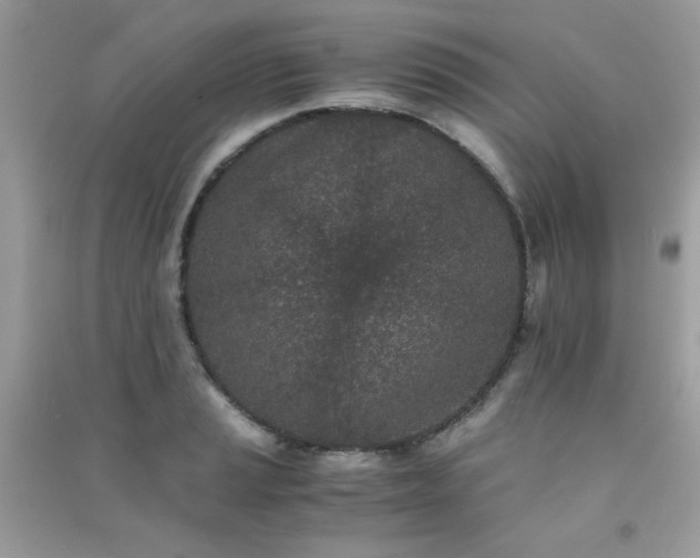 X0000091301037200708172204