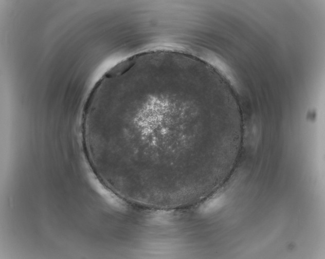 X0000091301038200708172204