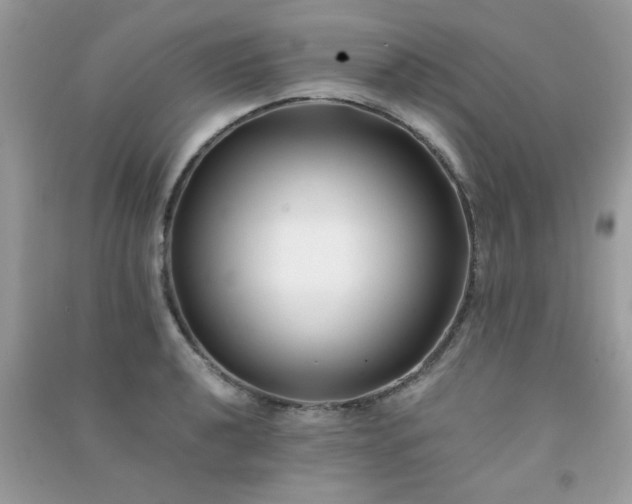 X0000091301040200708172204