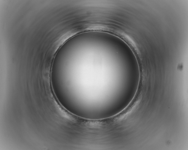 X0000091301041200708172204