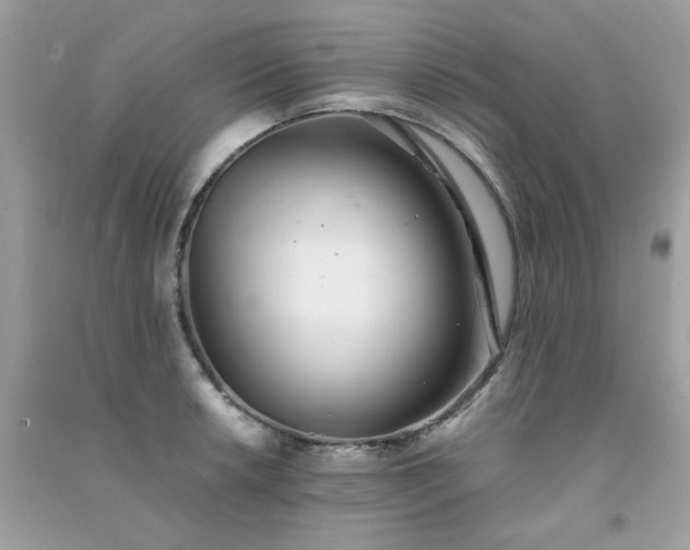 X0000091301042200708172204