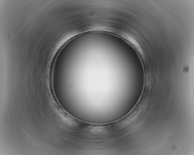 X0000091301043200708172204