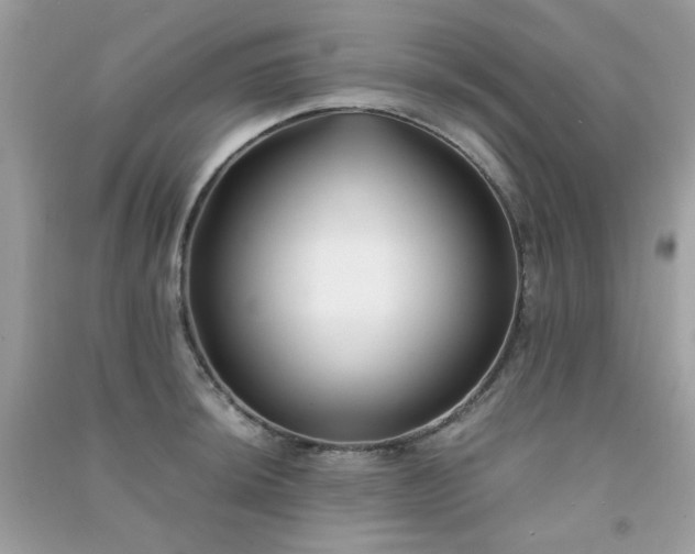 X0000091301044200708172204