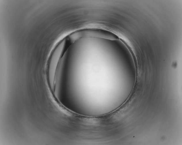 X0000091301045200708172205