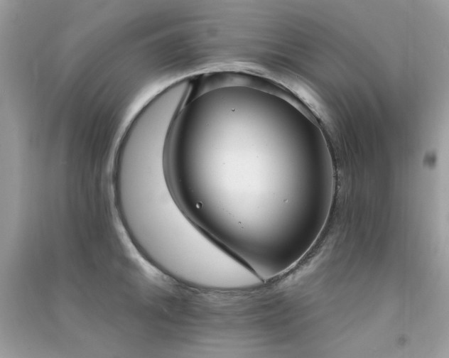 X0000091301046200708172205