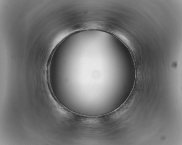 X0000091301047200708172205