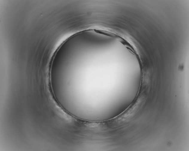 X0000091301048200708172205