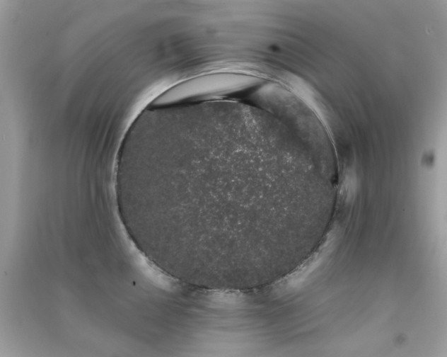 X0000091301050200708172205