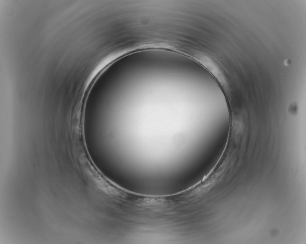 X0000091301052200708172205