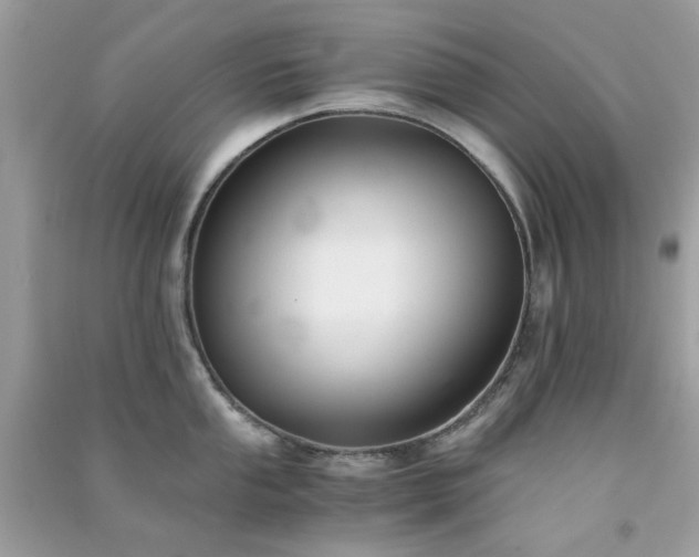 X0000091301053200708172205