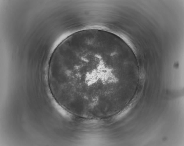 X0000091301054200708172205