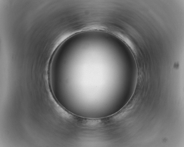 X0000091301055200708172205