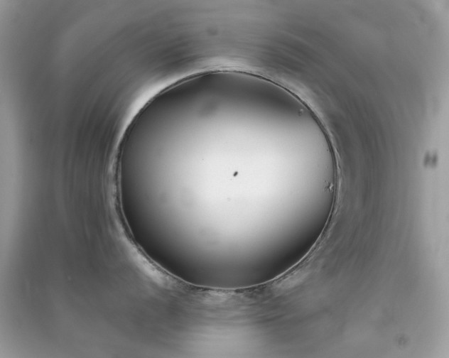 X0000091301056200708172205