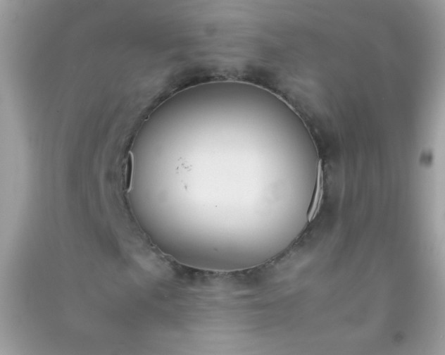 X0000091301057200708172204