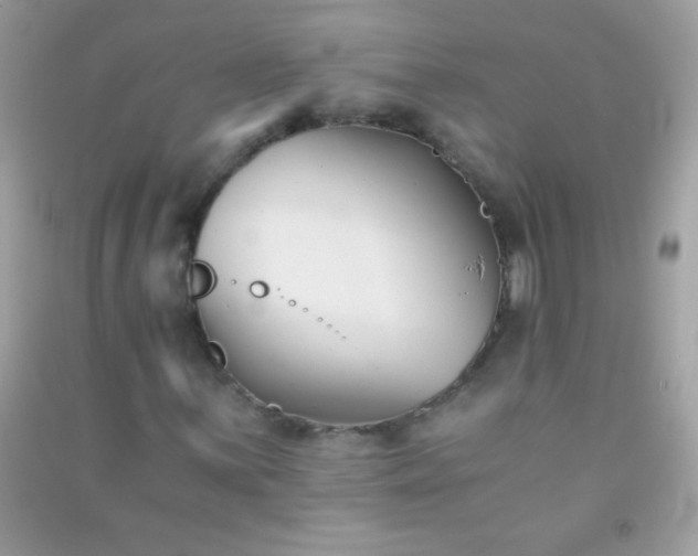 X0000091301059200708172204