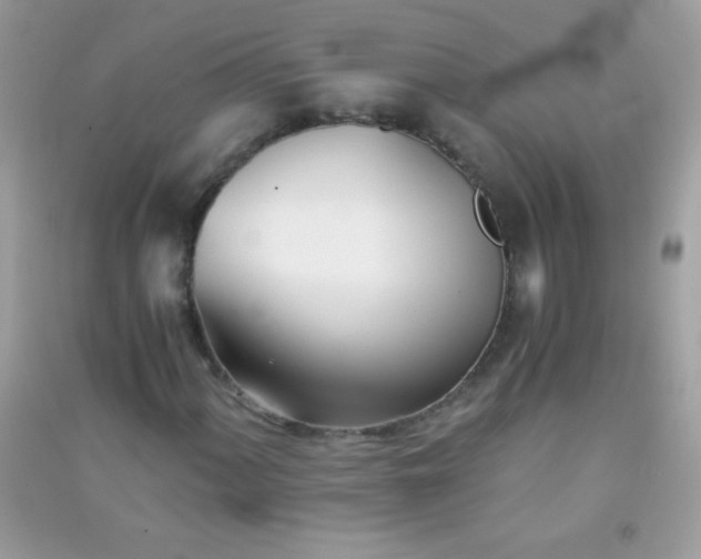 X0000091301060200708172204