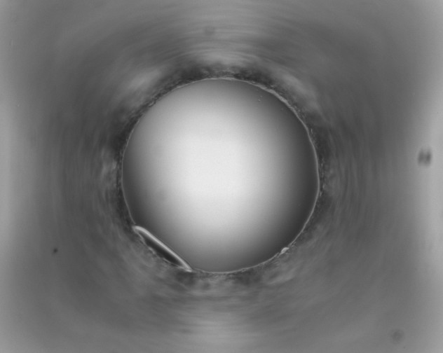 X0000091301061200708172204