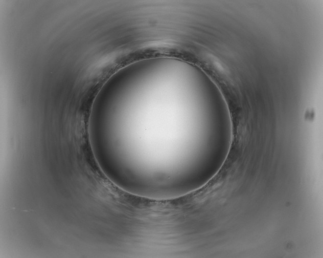 X0000091301062200708172204