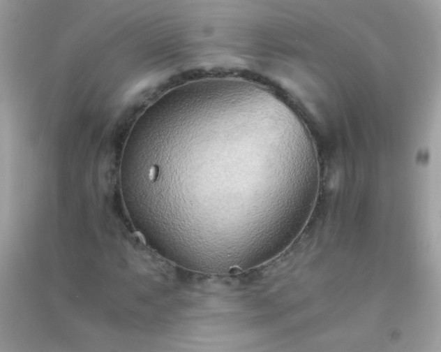 X0000091301063200708172204