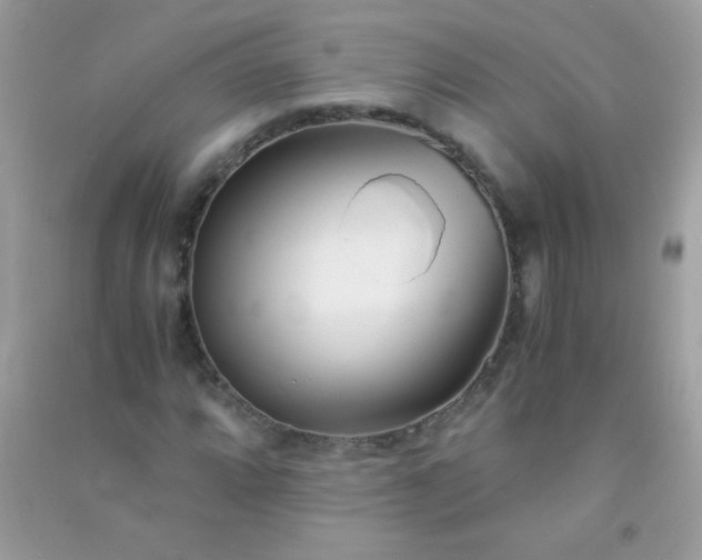 X0000091301064200708172204