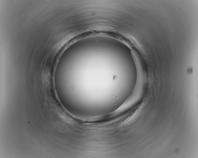 X0000091301065200708172204