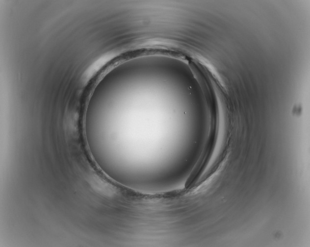 X0000091301066200708172204