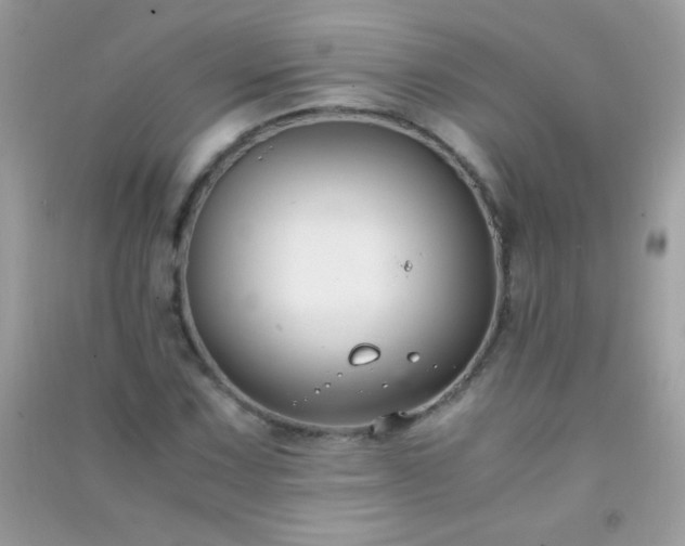 X0000091301067200708172204