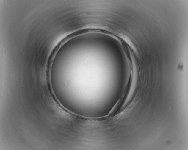 X0000091301068200708172204